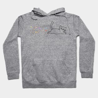 Funny cat Hoodie